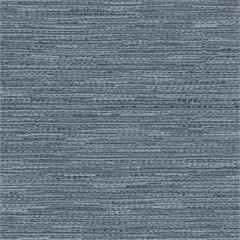 Barista Northern Lights